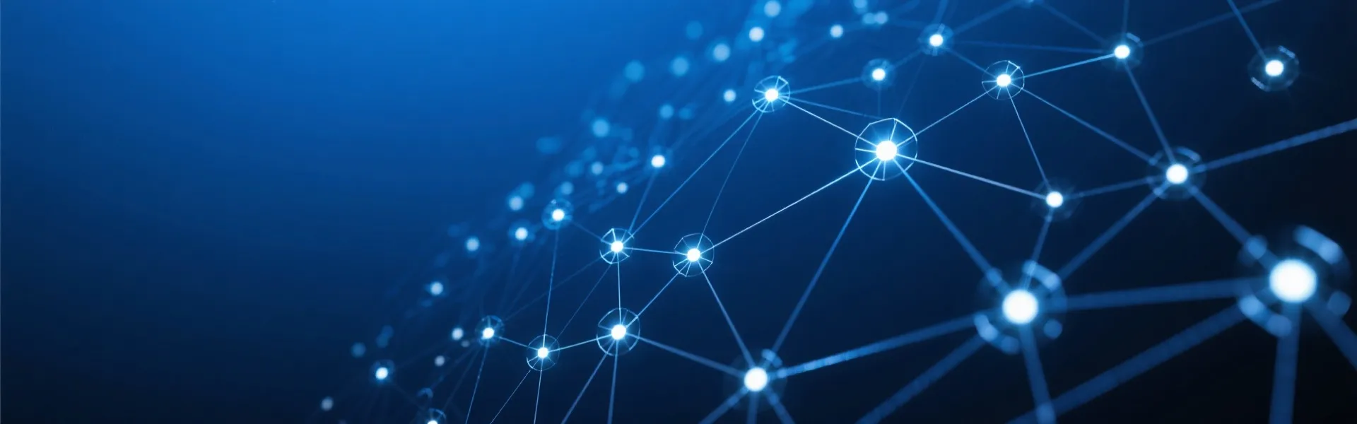 Network Connectivity